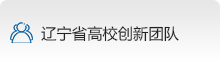 辽宁省高校创新团队